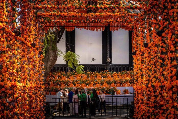 f6ba2779-9591-4509-9e7c-09c2331d2b38