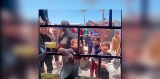 La lucha diaria por un plato de arroz: la crisis alimentaria en Gaza