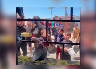 La lucha diaria por un plato de arroz: la crisis alimentaria en Gaza