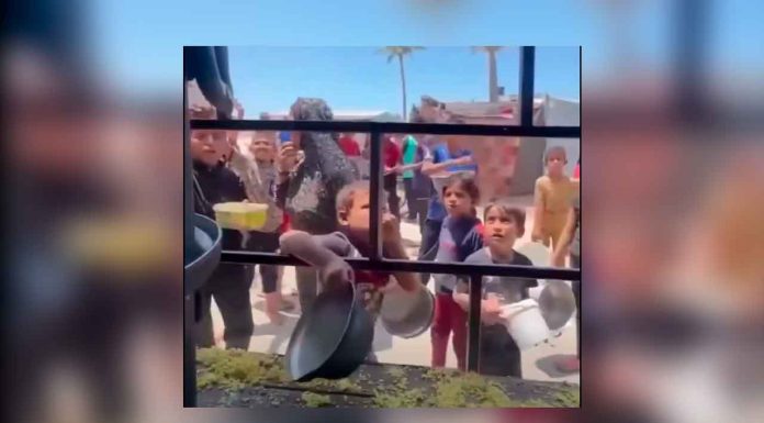 La lucha diaria por un plato de arroz: la crisis alimentaria en Gaza