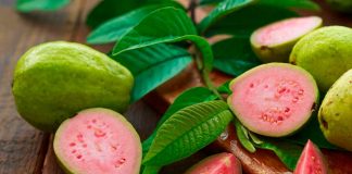 Michoacán, primer lugar nacional en producción de guayaba: Sader