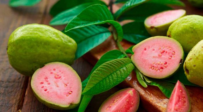 Michoacán, primer lugar nacional en producción de guayaba: Sader