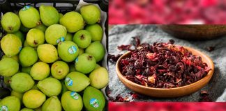 Guayaba y jamaica, orgullos michoacanos con alto valor económico y distintivo de origen: Sedeco