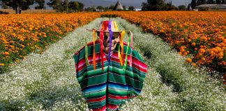 Festival de las Flores de Copándaro prepara un fin de semana lleno de tradición y color: Sectur