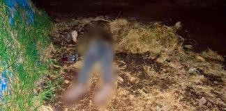 Lapidado y baleado encuentran cadáver en un predio