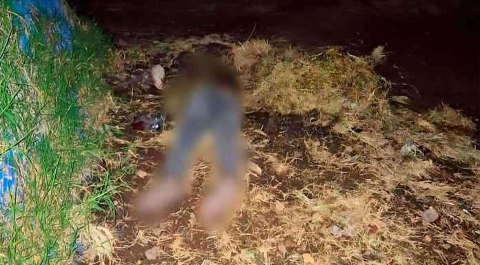 Lapidado y baleado encuentran cadáver en un predio