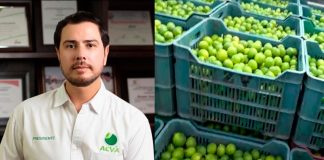 Localizan asesinado a Bernardo Bravo líder limonero en Apatzingán