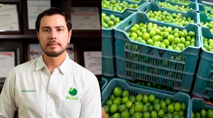 Localizan asesinado a Bernardo Bravo líder limonero en Apatzingán