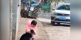 #VIDEO || Una niña demuestra su amor por su mascota frente a la pirotecnia
