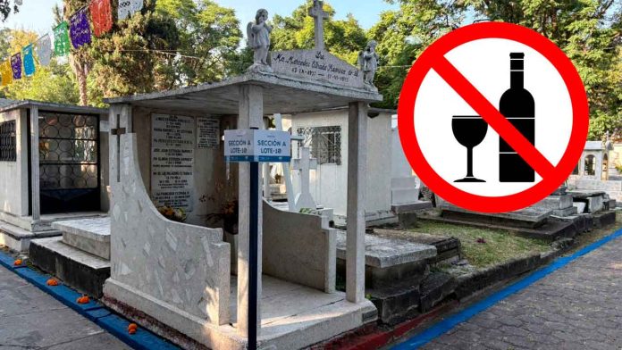 no-alcohol