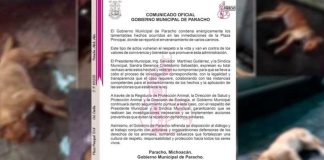 Avanza FGE en investigaciones por posibles hechos de crueldad animal ocurridos en Paracho