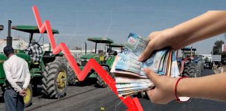 Reportan pérdidas por más de 2,300 millones de pesos tras bloqueos carreteros