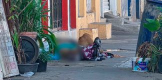 Fallece hombre en situación de calle; su perro permaneció fiel junto a él
