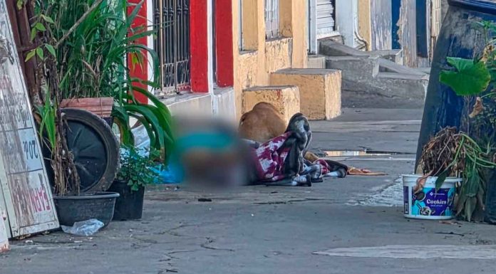 Fallece hombre en situación de calle; su perro permaneció fiel junto a él