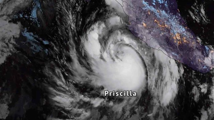 priscila