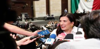 Iniciativa nacional: eliminar el IVA en alimentos y medicinas para mascotas