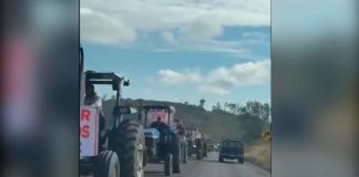 Paro Nacional Agropecuario: Campesinos de Michoacán exigen precio justo al maíz