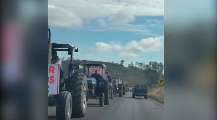 Paro Nacional Agropecuario: Campesinos de Michoacán exigen precio justo al maíz