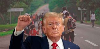 Flujos migratorios de México a EE. UU. caen 85% tras políticas de Trump en 2025