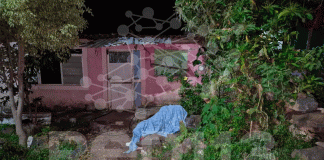 Joven mujer es acribillada a balazos frente a su domicilio en la Primera de Mayo