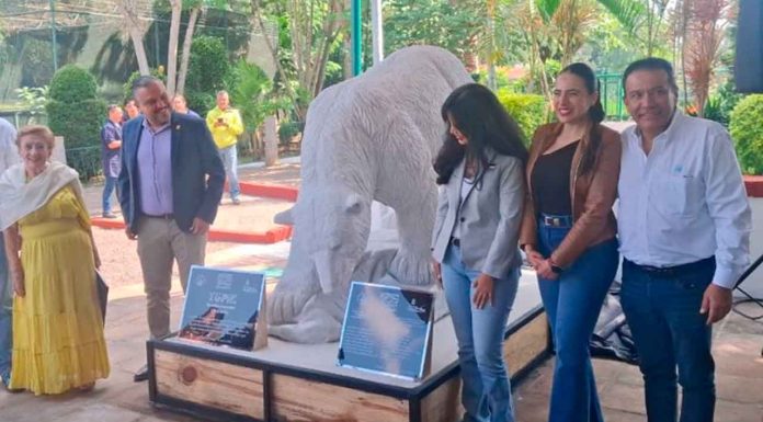 Zoológico de Morelia cumple 55 años y cambia de nombre