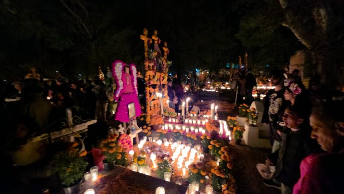 517480c0-bba9-4846-8dc4-57d96e83c962