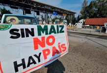 Crónica| Michoacán segundo día con bloqueos; productores y transportistas paralizan rutas