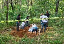 Madres Buscadoras hallan 4 cadáveres en predio familiar del diputado Carlos Alejandro Bautista Tafolla