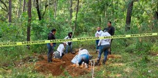 Madres Buscadoras hallan 4 cadáveres en predio familiar del diputado Carlos Alejandro Bautista Tafolla