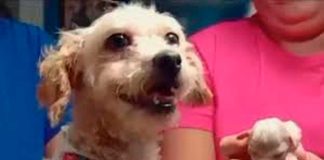 #VIDEO/ “Cereza” y “Cerecito” serán dados de alta tras sufrir graves quemaduras en explosión de la pipa en Iztapalapa