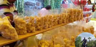 Morelia se prepara para el CañaFest y los festejos a la Virgen de Guadalupe