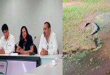 En Brasil, Secma presenta proyecto de cocodrilario ecoturístico en Lázaro Cárdenas
