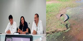 En Brasil, Secma presenta proyecto de cocodrilario ecoturístico en Lázaro Cárdenas
