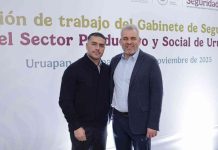 Disminución del 53% en homicidio doloso muestra efectividad del Plan Michoacán