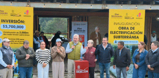 Electricidad subterránea llega a Sierra Chincua y protege el santuario de la Monarca