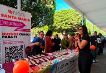 En medio de arte y emprendimientos se vive el 5° Festival de la Cultura de la Discapacidad