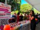 En medio de arte y emprendimientos se vive el 5° Festival de la Cultura de la Discapacidad