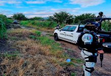 Localizan r3st0s humanos calcin4d0s en zona rural de un municipio de Michoacán