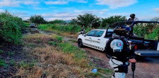 Localizan r3st0s humanos calcin4d0s en zona rural de un municipio de Michoacán