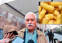 Rumbo al paro nacional del 24 de noviembre ya hay diálogo con productores de maíz: Sader Michoacán