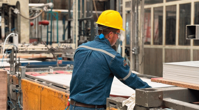 Arauco elevará producción nacional de MDF desde Michoacán: Sedeco