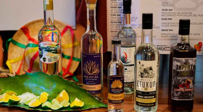 Madero repartirá más de 20 mil tacos en su Expo Feria: Sectur