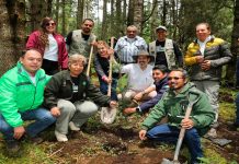 Reforestadas más de 2 mil hectáreas en la Reserva de la Biosfera de la Mariposa Monarca