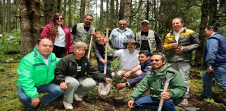 Reforestadas más de 2 mil hectáreas en la Reserva de la Biosfera de la Mariposa Monarca