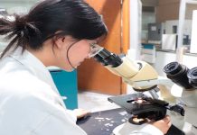 UTM vincula a estudiantes con sector productivo nacional e internacional