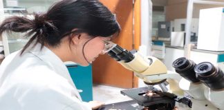 UTM vincula a estudiantes con sector productivo nacional e internacional