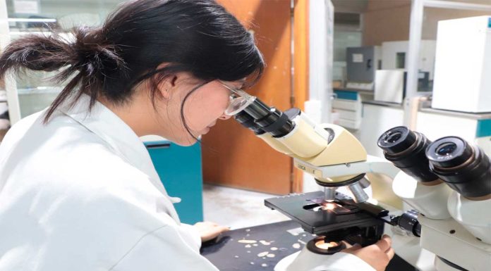 UTM vincula a estudiantes con sector productivo nacional e internacional