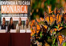 76 Legislatura fortalece acciones en pro de la conservación y cuidado de santuarios de la mariposa monarca