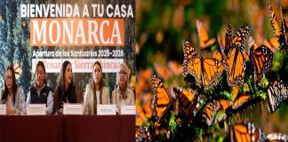 76 Legislatura fortalece acciones en pro de la conservación y cuidado de santuarios de la mariposa monarca
