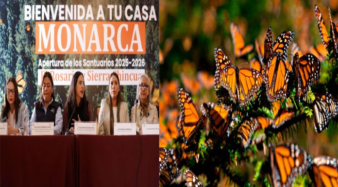 76 Legislatura fortalece acciones en pro de la conservación y cuidado de santuarios de la mariposa monarca
